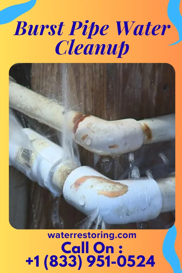 Burst Pipe Water Cleanup in Tarboro, NC